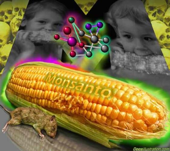 Jednom zločinac uvijek zločinac! Monsanto pokušava preimenovati pojam GMO s novim pojmom ‘Bioforification’, koristeći prefiks BIO, kako bi prodavao svoje proizvode pod organske